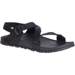 JCH107109Z Chaco Men's Lowdown Sandal