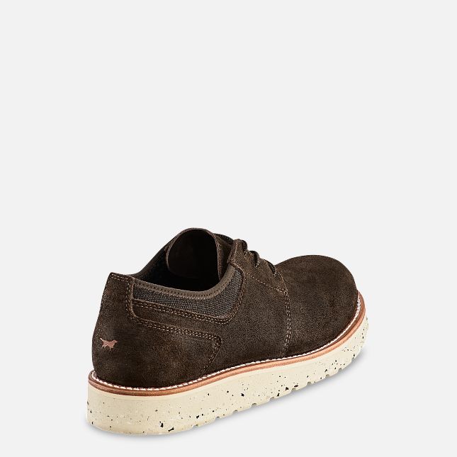 3916 Irish Setter Oxford