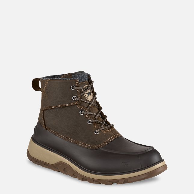 3973 Irish Setter Northshore