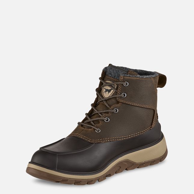 3973 Irish Setter Northshore