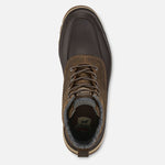 3973 Irish Setter Northshore