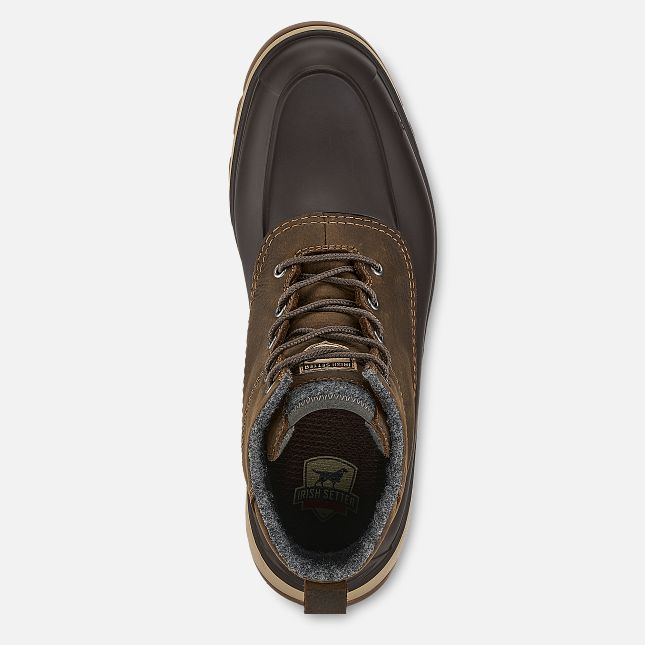 3973 Irish Setter Northshore