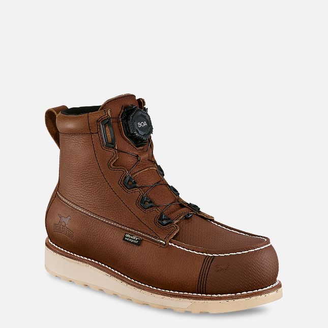 84670 Irish Setter 6