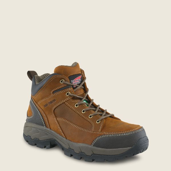 3541 Red Wing Men's Truhiker 5" CSA Steel Toe