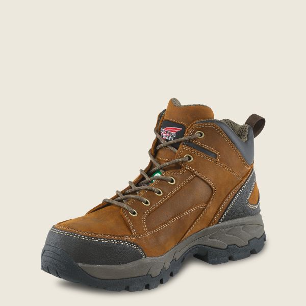 3541 Red Wing Men's Truhiker 5" CSA Steel Toe