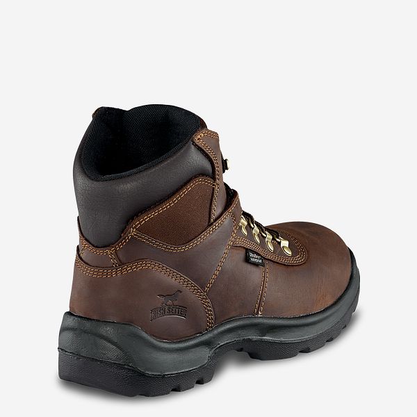 Irish setter ely outlet