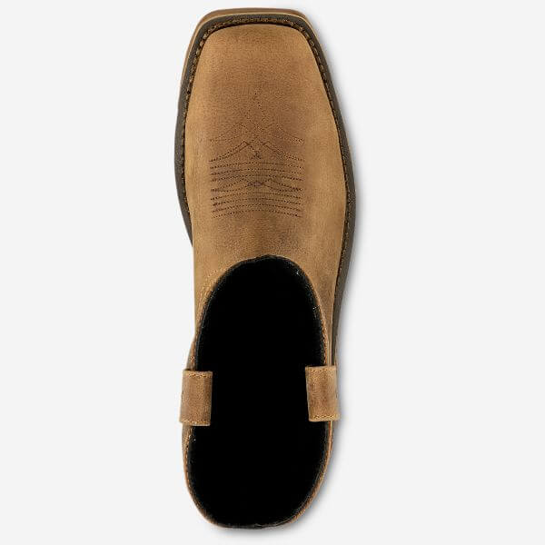 Irish setter 83923 store